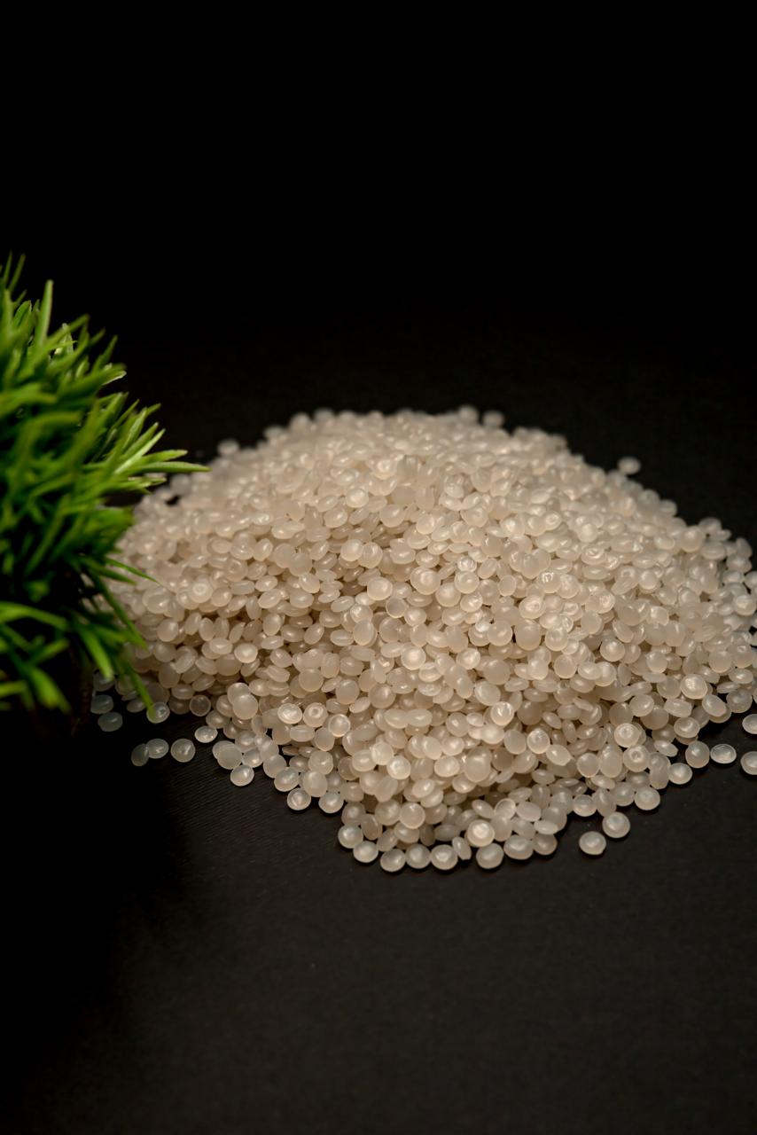 ������ ��������� ������� ���