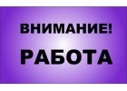 Менеджер-куратор проекта