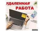Менеджер по рекламе. удаленно